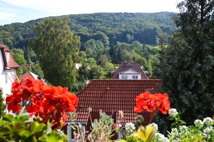 Villa Sonnenseite Jonsdorf Exteriör bild